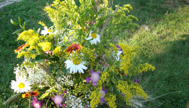 Noaptea de Sânziene 2011
